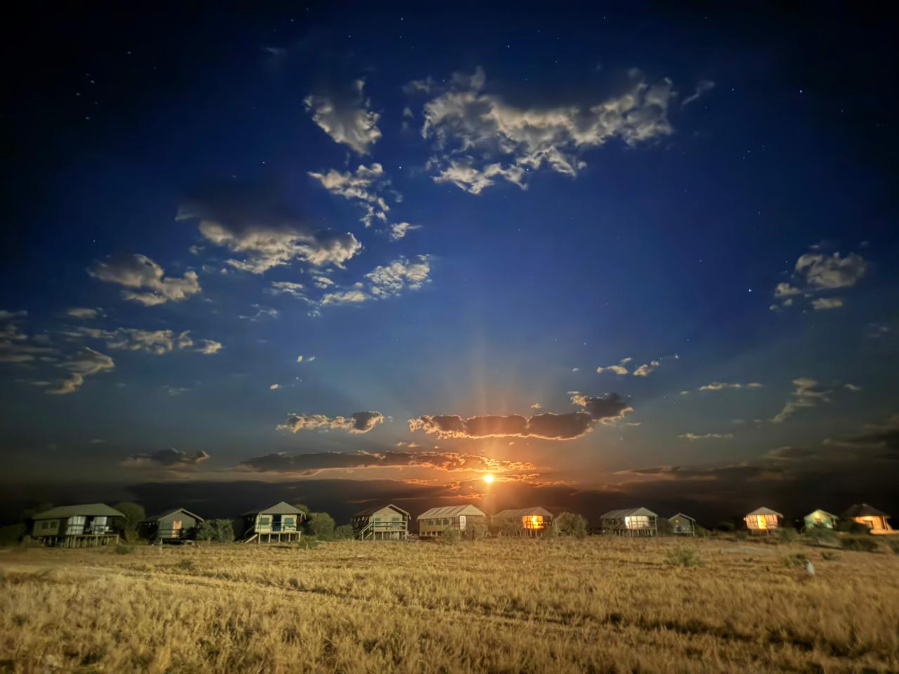 Camp under the stars