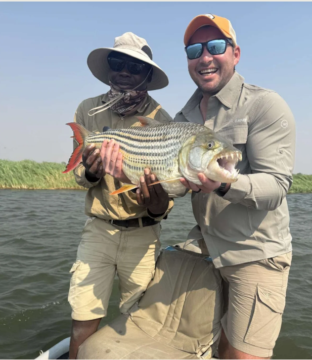 Tiger fish, Zambezi River